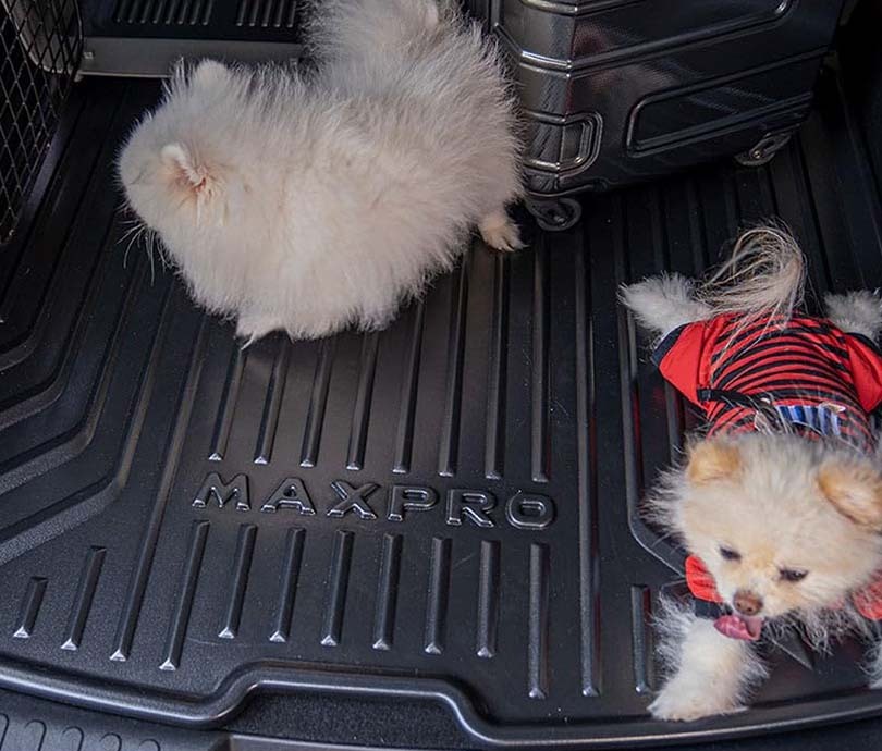 Maxpro Cargo Liner